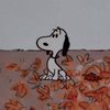 ilovealiceinborderland7