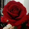 loula.loula515
