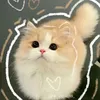 meochuyendon