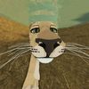 tobbp_12321