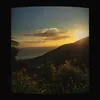dyran079