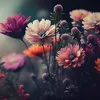 emilyy24133