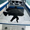 frank_fisherman_official
