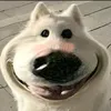dieuviet_0007