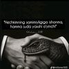 user5197093106224