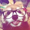 redpanda4uu
