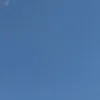 no1._08