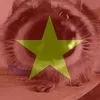 met_lam_roi4_4