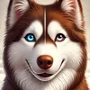 huskypokami
