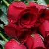 abirkhan0238