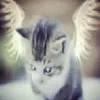 weeeeeeeeeezerr