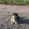 bodka_ttty