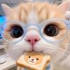anis_cip