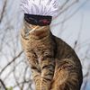 miko2014tiktok