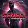 sensei_of_life