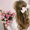 r_for_rose04