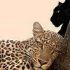 mariu_991