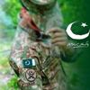 umair.aider486