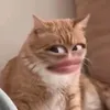 thanhluan24123