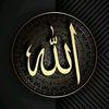 user54072836355562