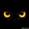 adam.abdala.juman