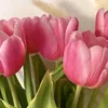 lava___sallh