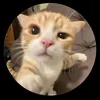 annieday78