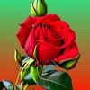 chrismejia38