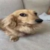 funkyyq