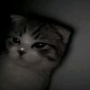elllllll9_