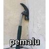 kemanasihkmu