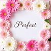 www.mummysfavourite.com