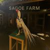 Kandang Sagoe Farm