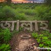নাম কার কার লাগবে