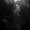 hafsa0p1