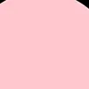 fao_155