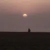 saduiffa