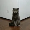 jaguar_xas