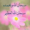 itafzrafi950