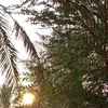 sajad_video