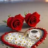 hamza__abodrar