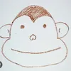 belibob01