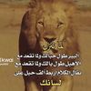 zain52403