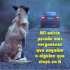 user6128131731272