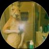 diego.lacouture