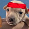 edgar.martinez8302