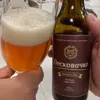 ljuba.joksimovic01