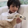 tٌ7