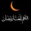 zeinaahmedahmed63