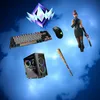 tomer_mulla